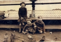 feeding-pigeons